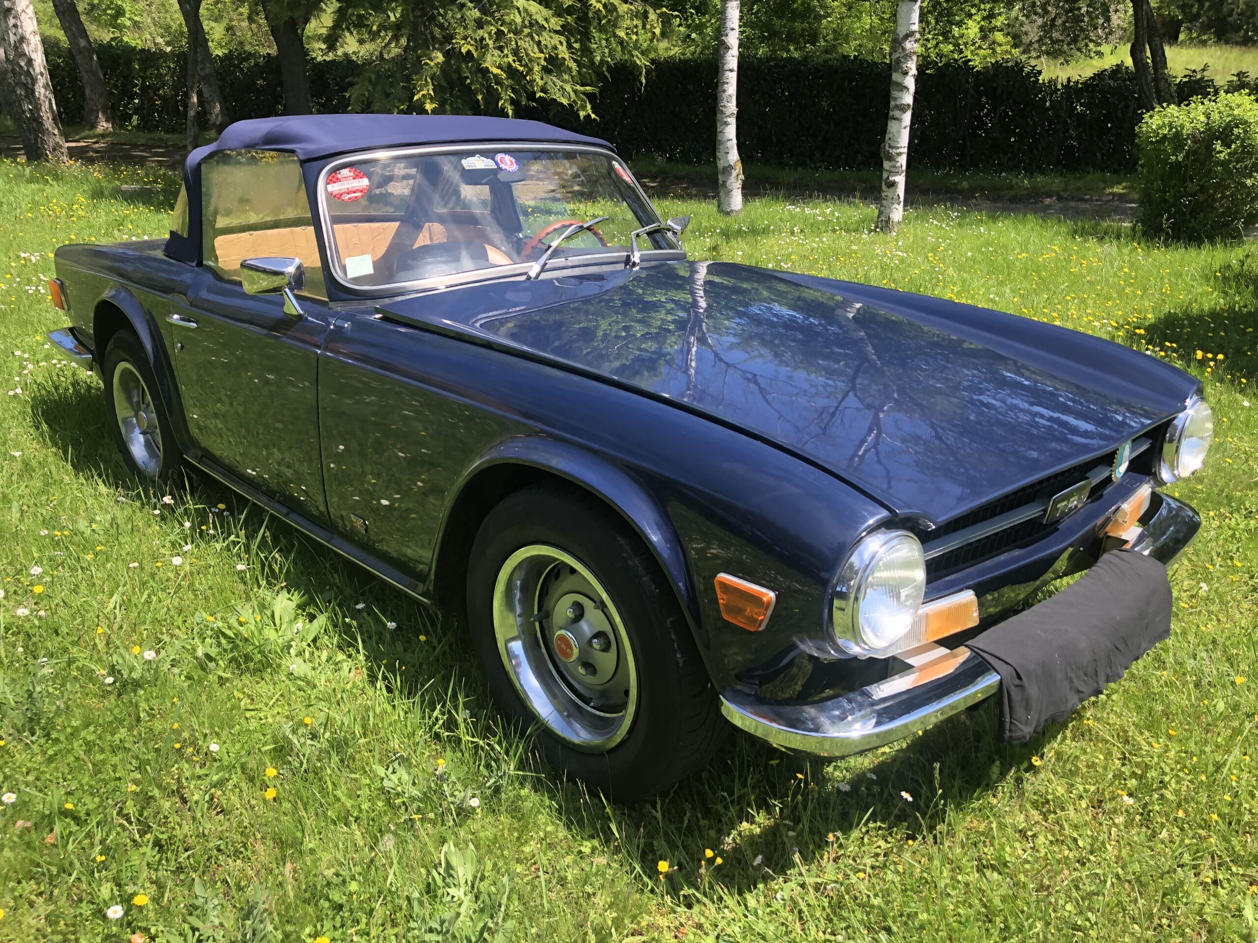 Triumph TR6