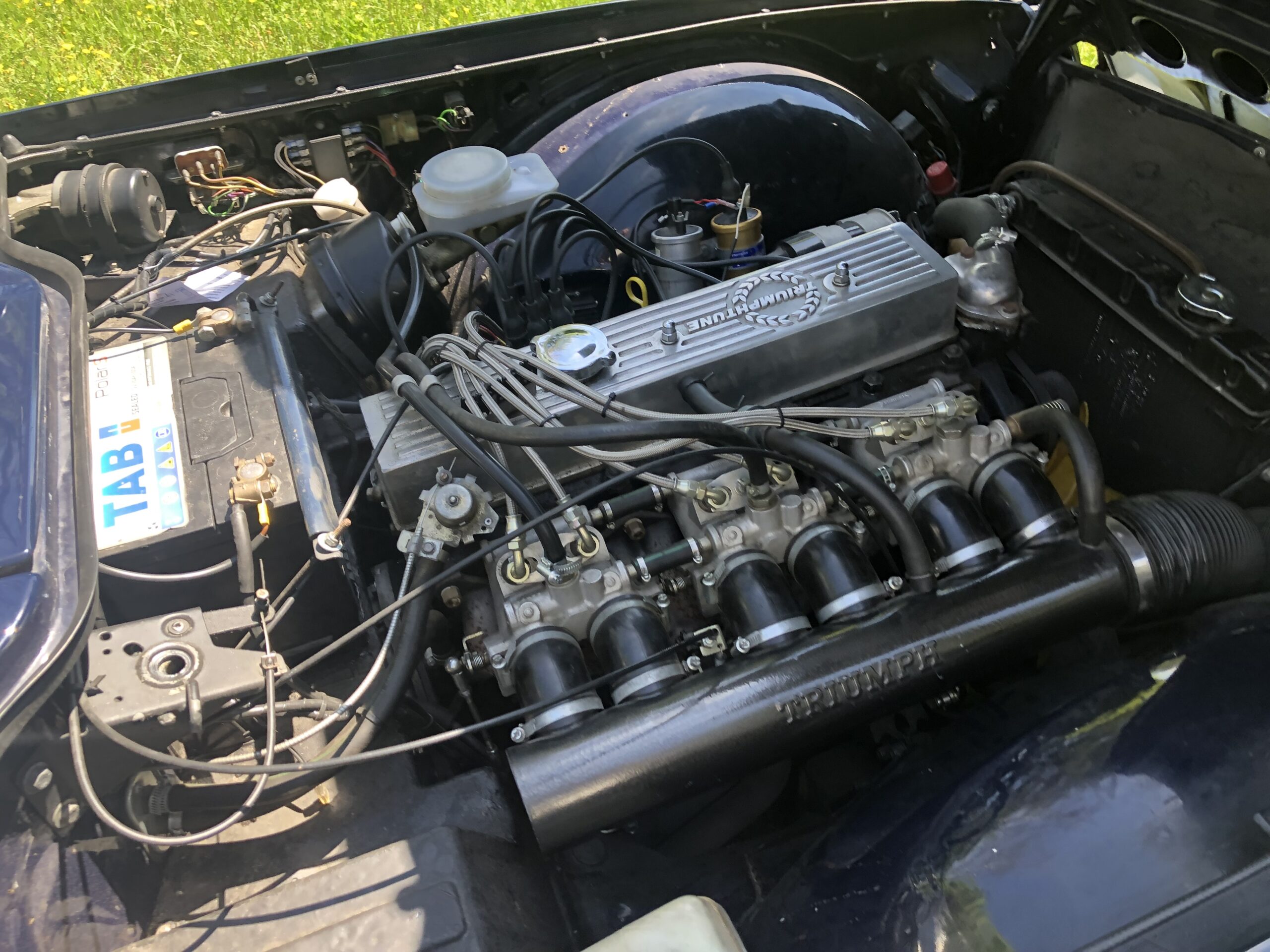 Triumph TR6
