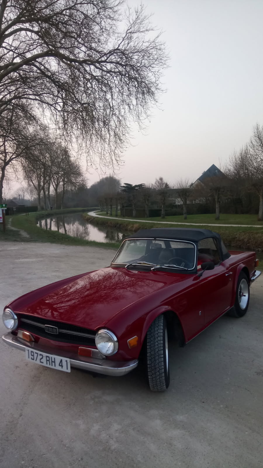 TR 6