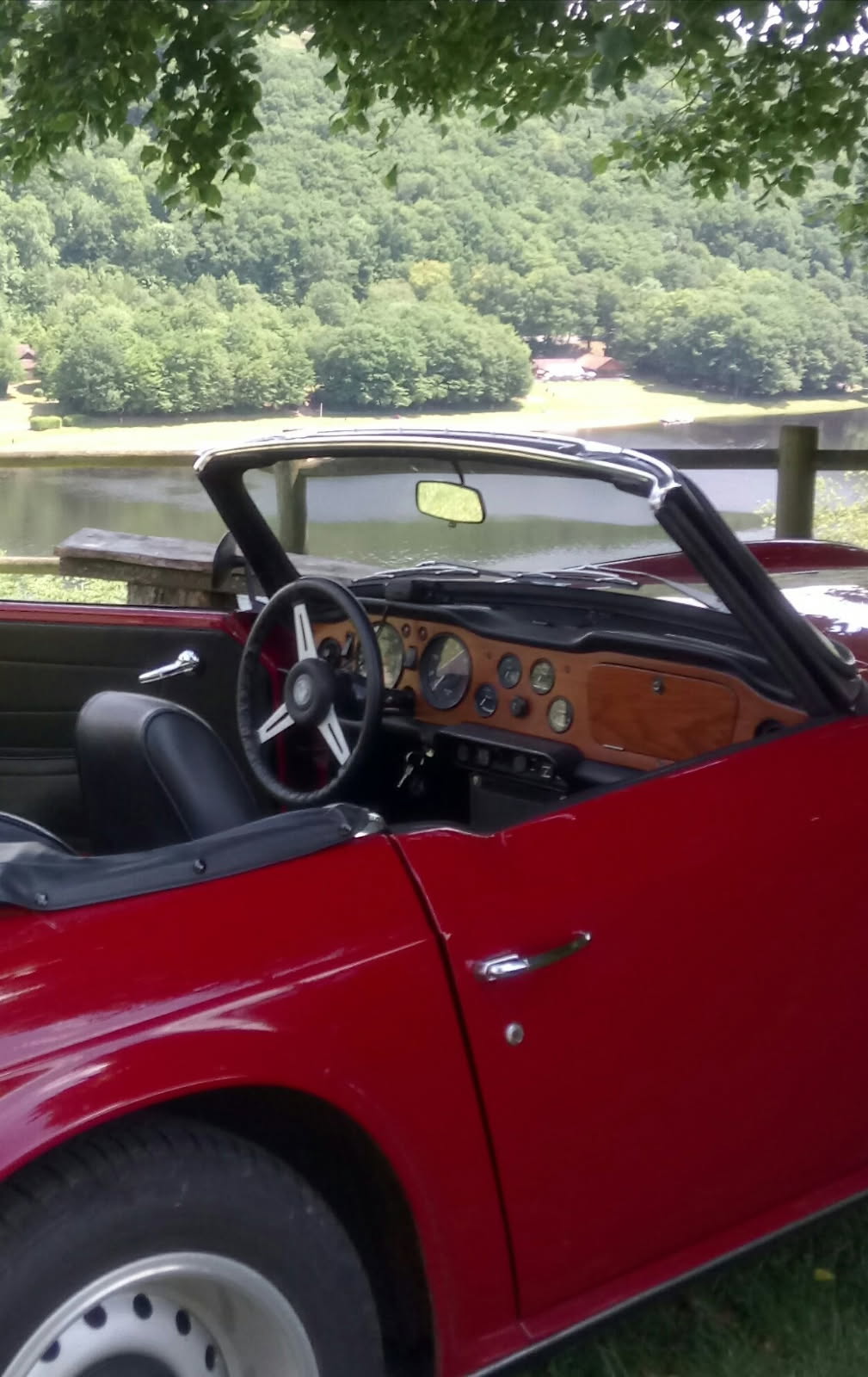 TR 6