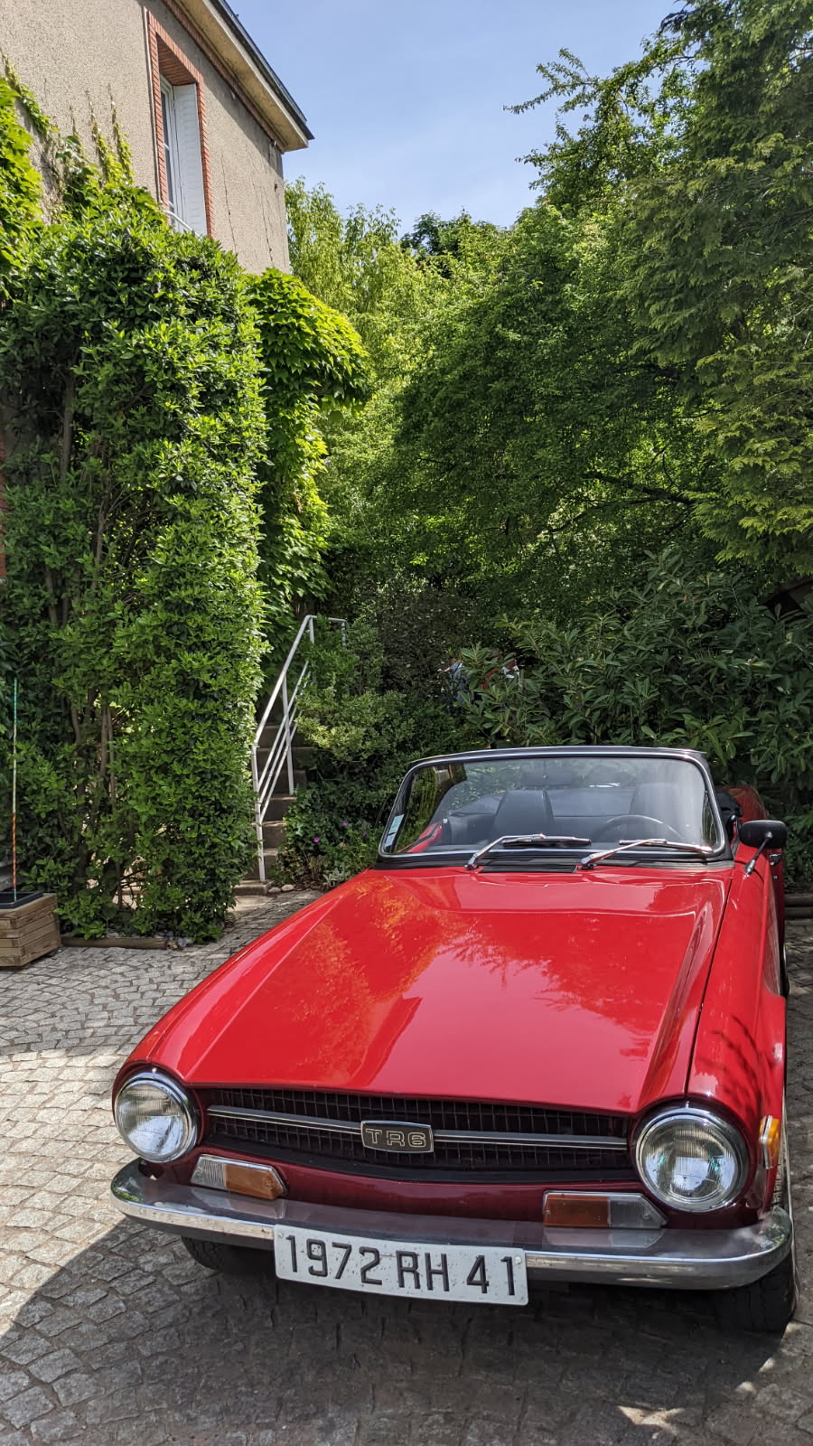 TR 6