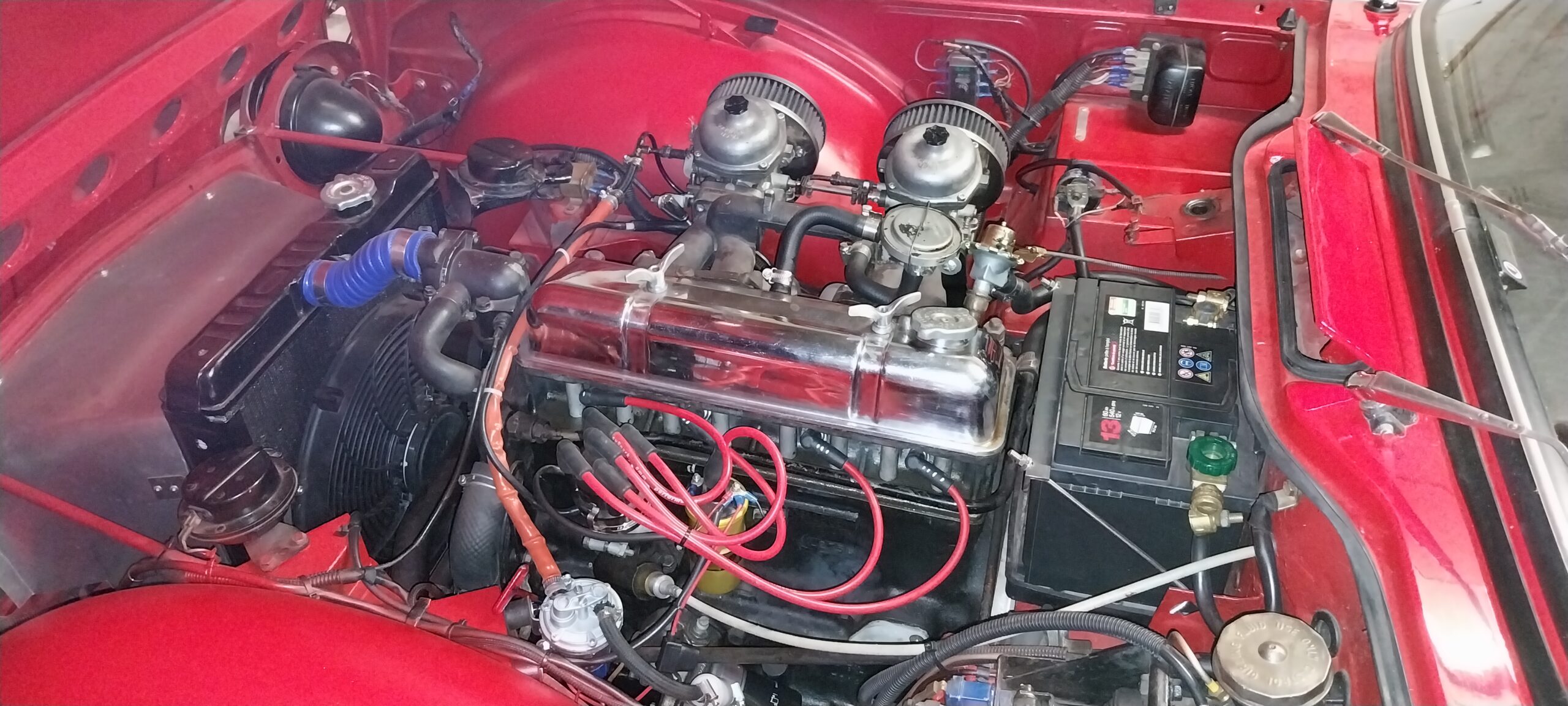 Tr4A IRS