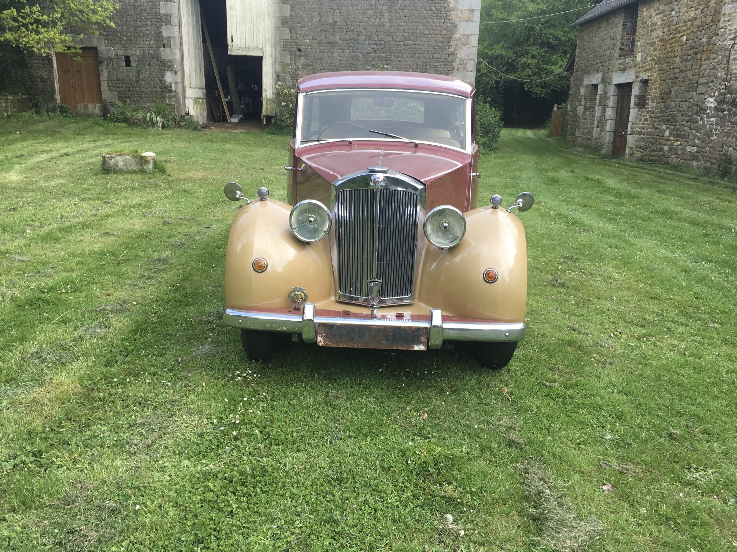 Triumph RazorEdge 1953 – Véritable pièce de collection britannique