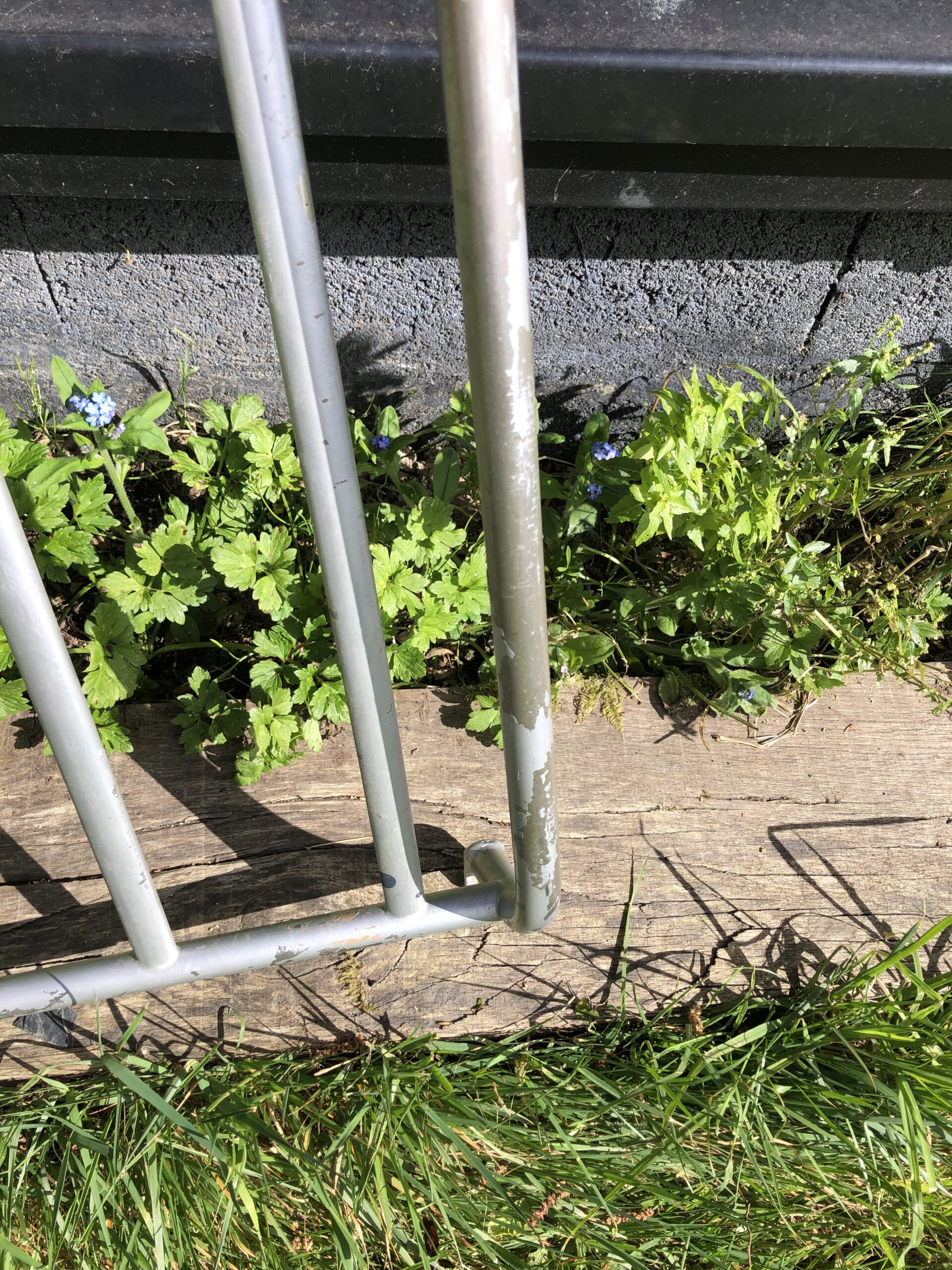 Porte bagage pour TR6