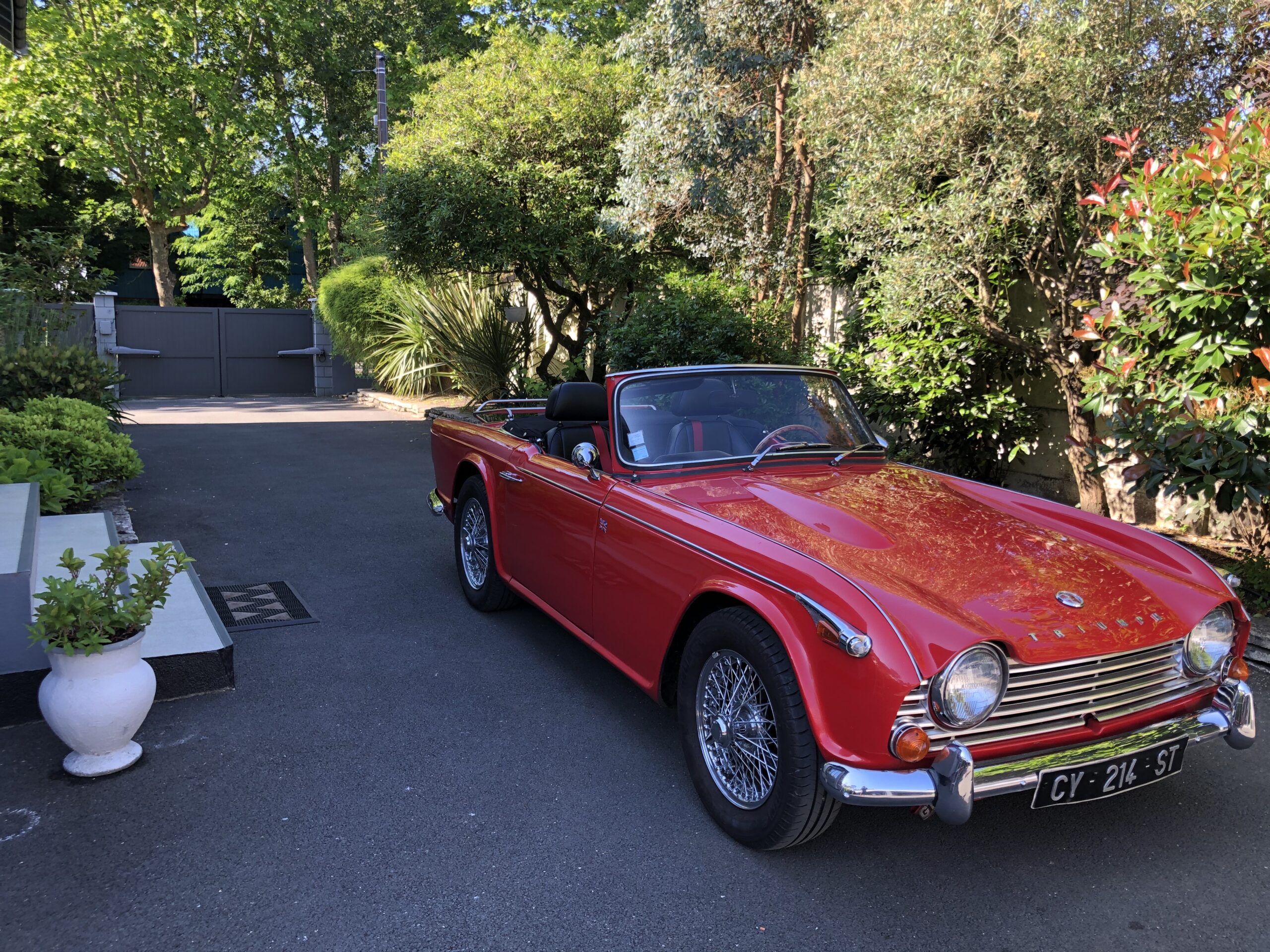 TR4A IRS 1965 Rouge Overdrive