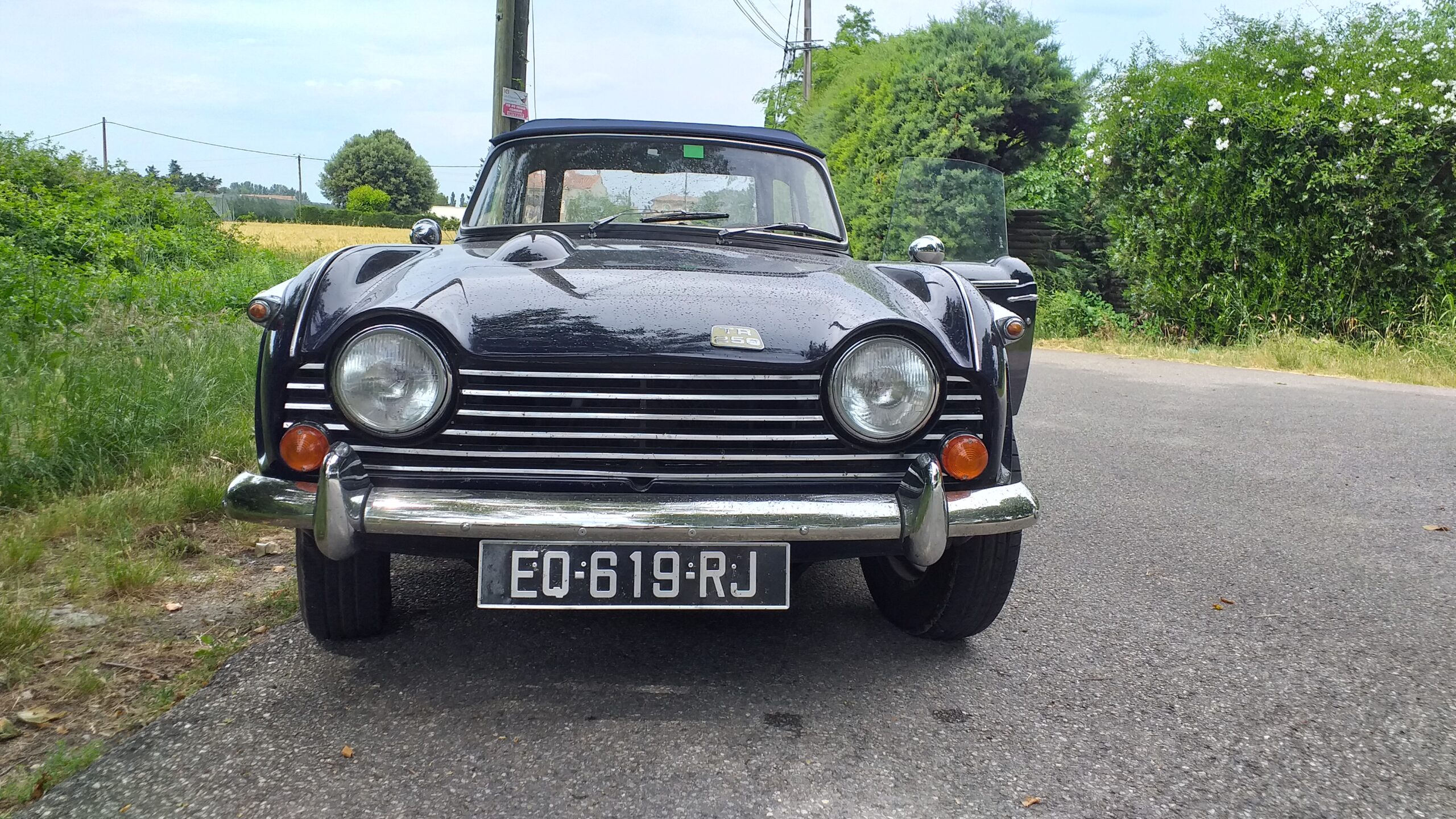 Tr 250 très belle état royal blue
