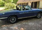 TRIUMPH STAG