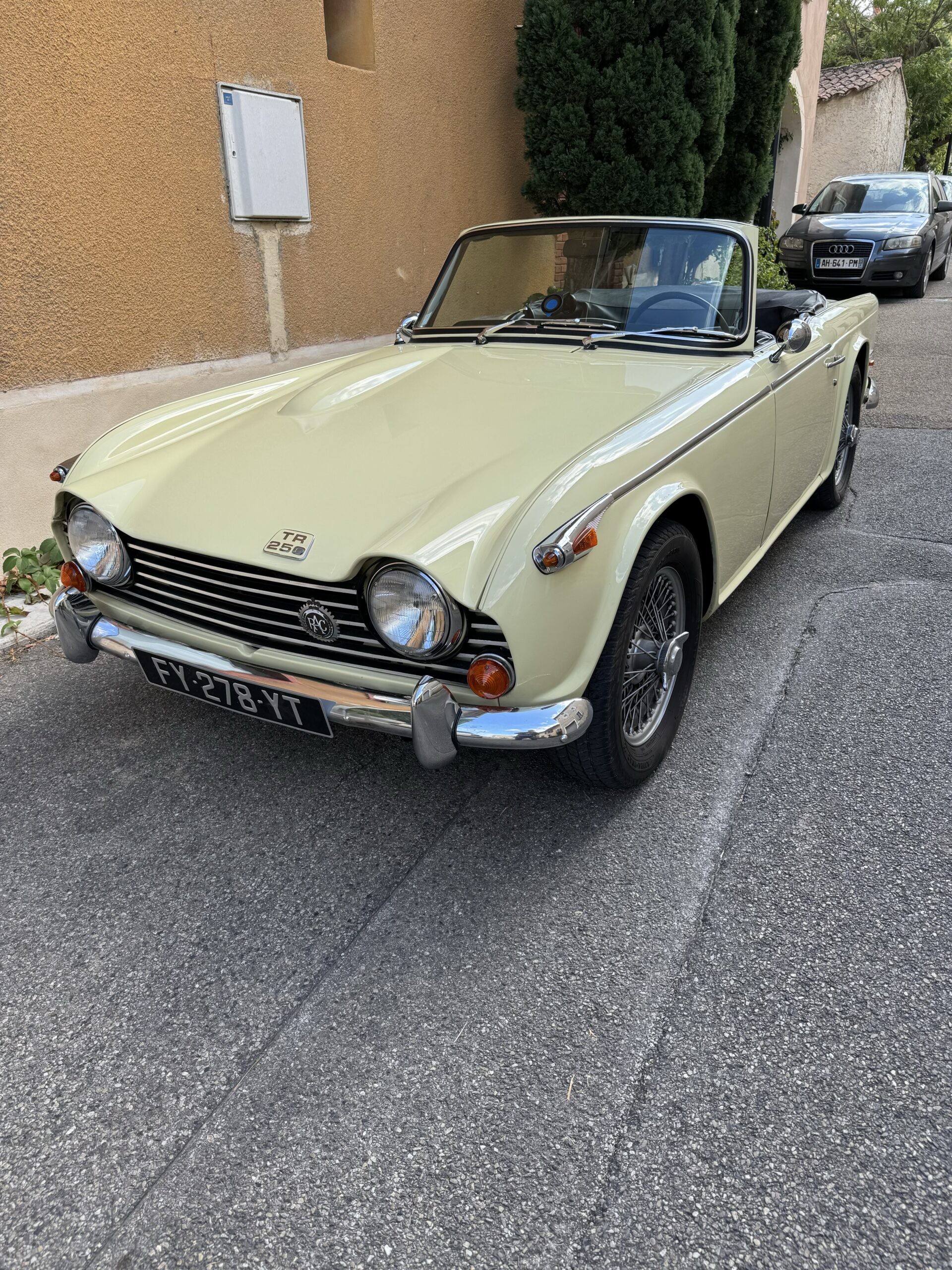 Triumph TR 250