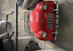 TR3 1957 petite bouche