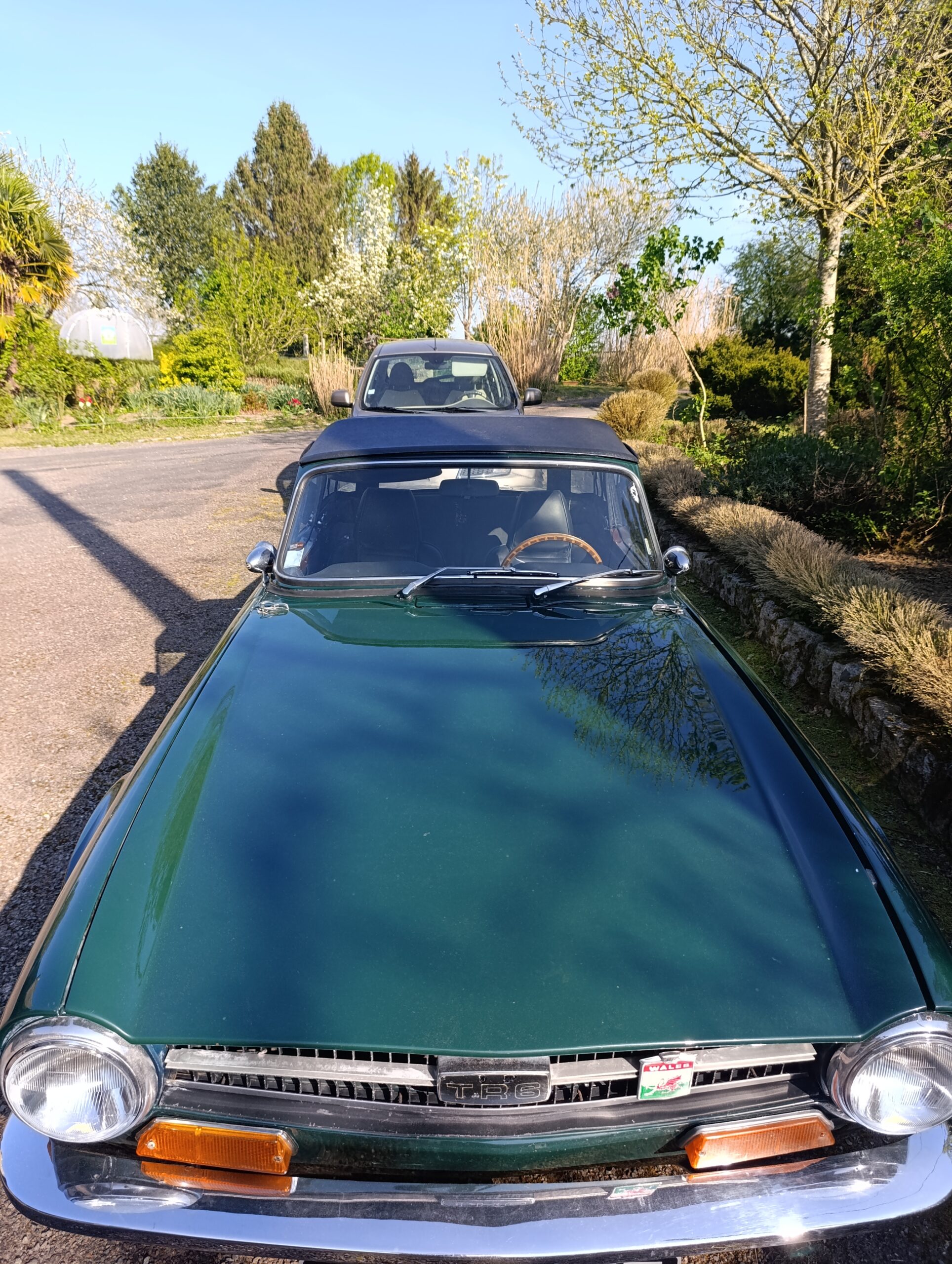 Triumph tr6