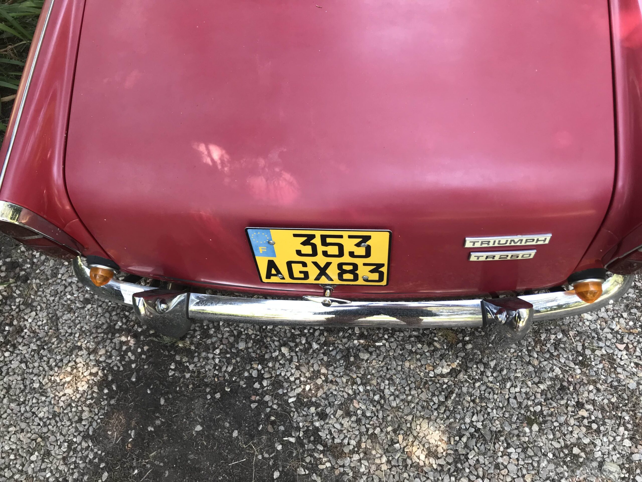 TR 250