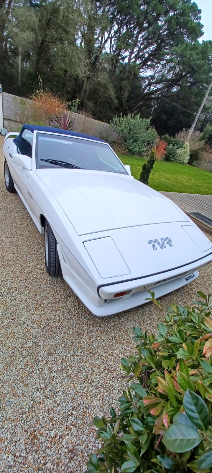 TVR TASMIN 350i de 1985