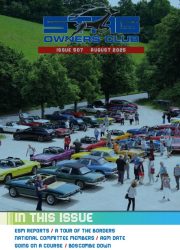2025-08 STAG-image