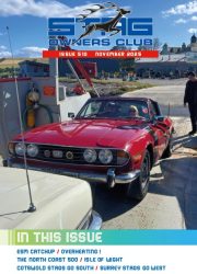 2025-11-STAG-image