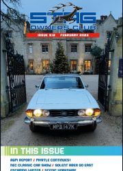 2026-02 STAG-image